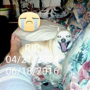 Meet your Posher, Carol