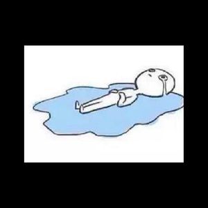 Meet your Posher, Laila