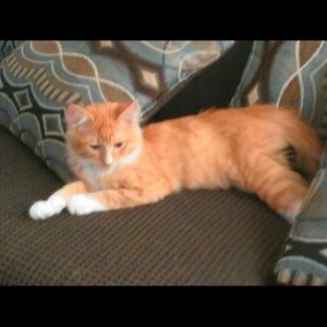 Meet your Posher, Leeann