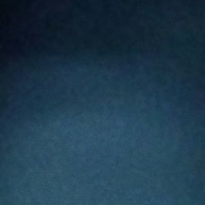 Meet your Posher, Sonia