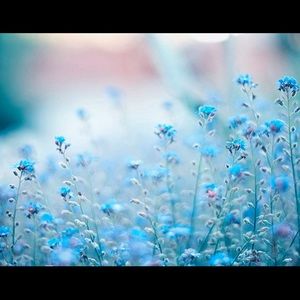 Meet your Posher, Mckinley