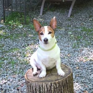 Meet your Posher, Charlene