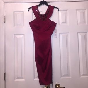 Brand New Adrianna Papell Dress