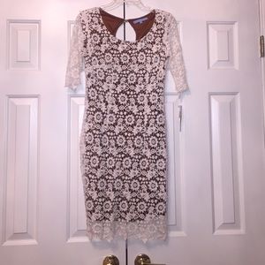 New Antonio Melani Dress