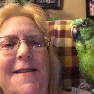 Meet your Posher, Joann