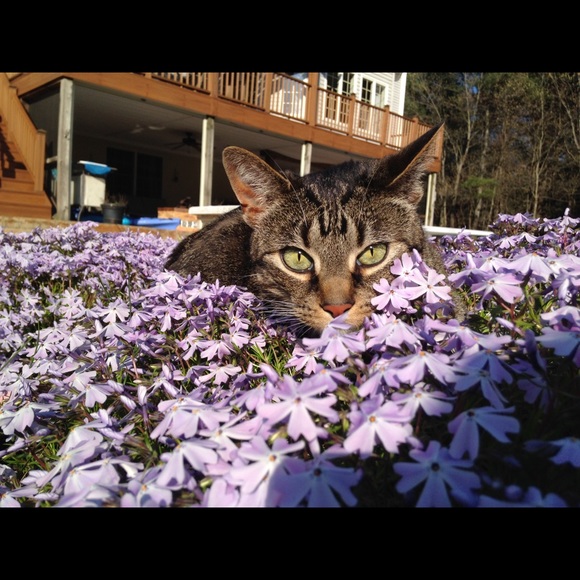 Meet your Posher, Anna