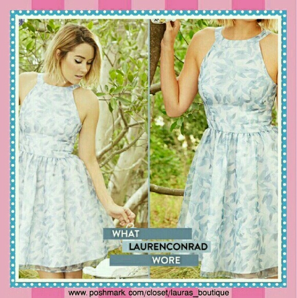Organza LC Lauren Conrad dress