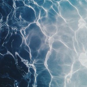 Meet your Posher, Abbey