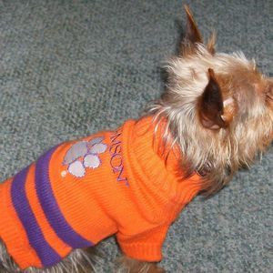 Meet your Posher, Karlyn