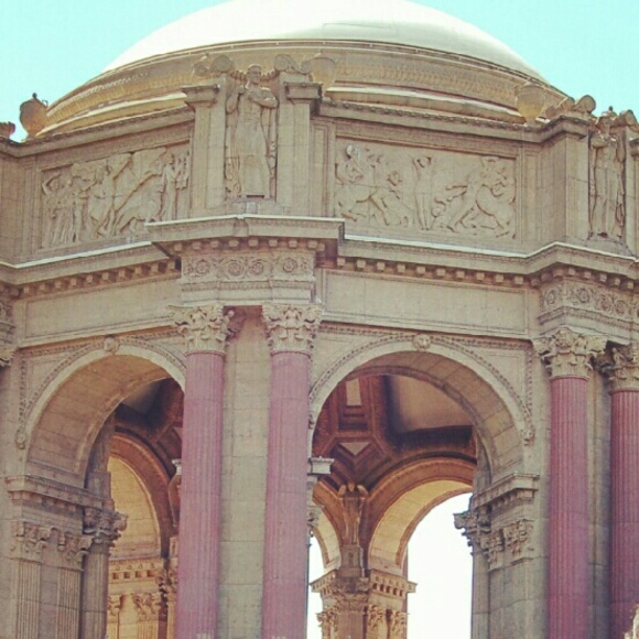 Meet your Posher, Minerva - Picture 1 of 1