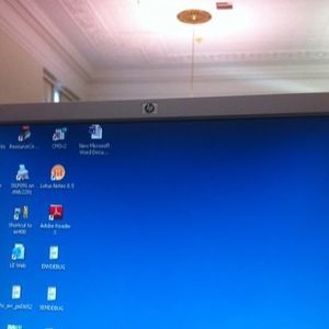 Meet your Posher, Nina