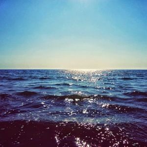 Meet your Posher, Jalil