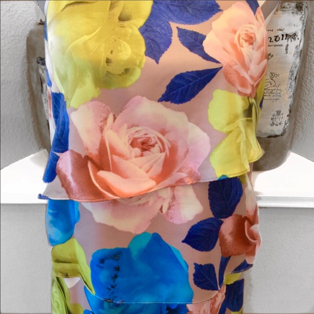 Jessica S double tier Top Dress - Picture 3 of 6