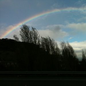 Meet your Posher, Lilly