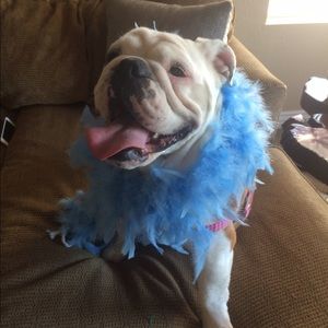 Meet your Posher, Cristina