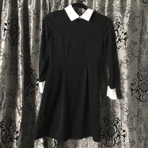 Black and white pan collared dress