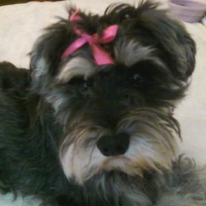 Meet your Posher, Cindy