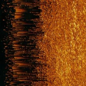 Meet your Posher, Raquel