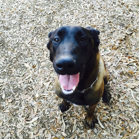 Meet your Posher, Veronica - Picture 2 of 2