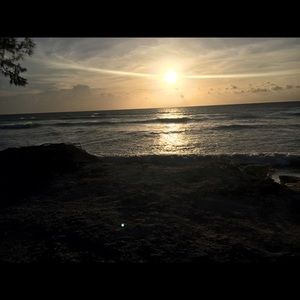 Meet your Posher, Yoalis