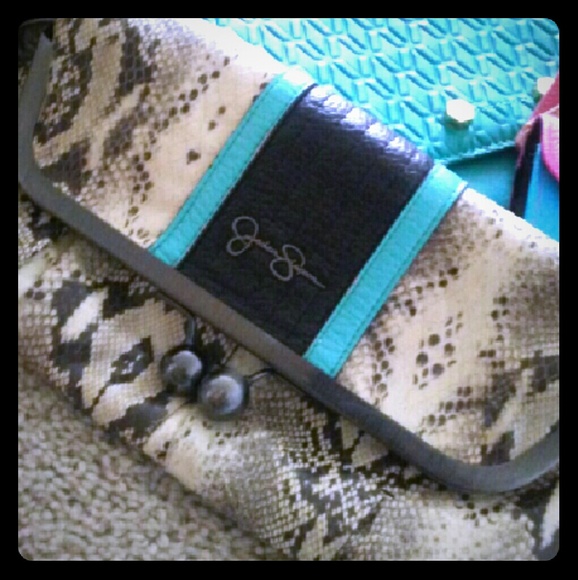 Purse (clutch)
