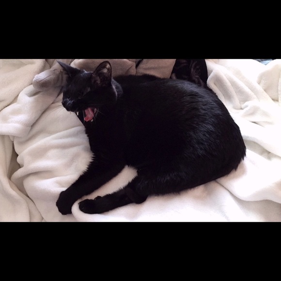 Meet your posher - Picture 2 of 4