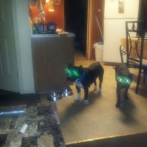 Meet your Posher, Ebony