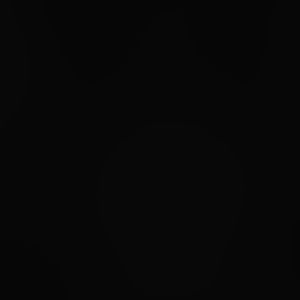 Meet your Posher, Izzy