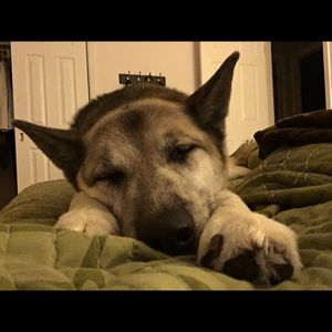 Meet your Posher, Kathleen