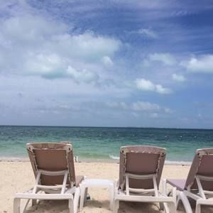 Meet your Posher, Molly