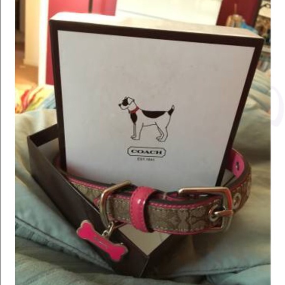 Coach dog collar