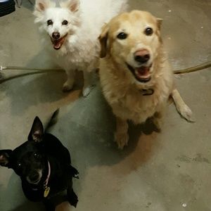 Meet your Posher, Brittney