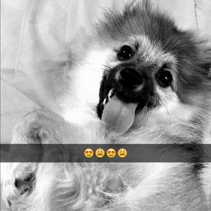 Meet your Posher, Grace