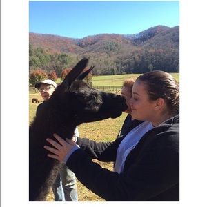 Meet your Posher, Mackenzie