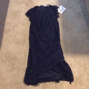 NWT Navy Blue Hello Molly Fitted Dress