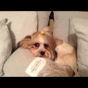 ❤️Cuddly-love you