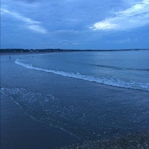 Meet your Posher, Rose