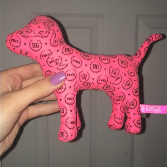 VS Pink dog