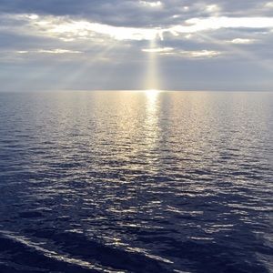 Meet your Posher, Christa