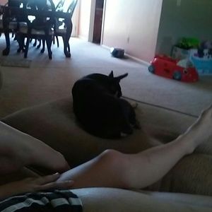 Meet your Posher, Hannah