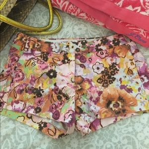 J.Crew Shorts