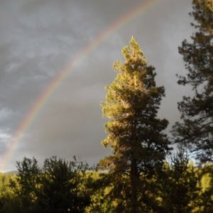 Meet your Posher, Craig and carole
