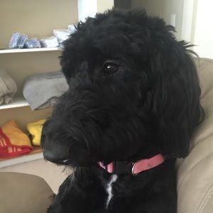 Meet your Posher, Jill