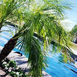 Meet your Posher, Mckinlee