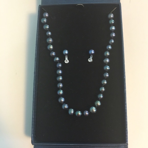 ⚡️ NWOT Necklace and Earrings Set