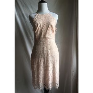 Tobi Lorrie Lace Bodycon