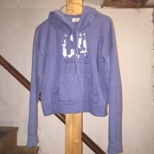 Blue Hollister pullover