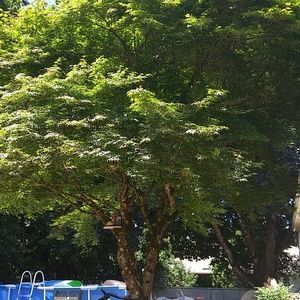 Meet your Posher, Collene