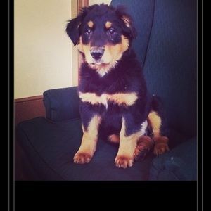 Meet your Posher, Sara