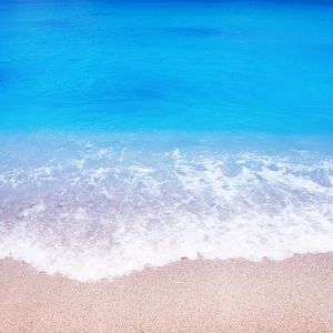 Meet your Posher, Lizzie